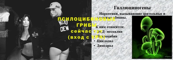 PSILOCYBIN Балабаново